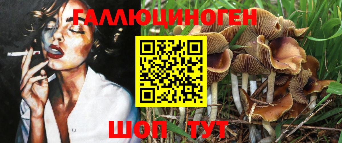 Тимашёвск  Псилоцибиновые грибы Psilocybine cubensis  Вход с VPN 