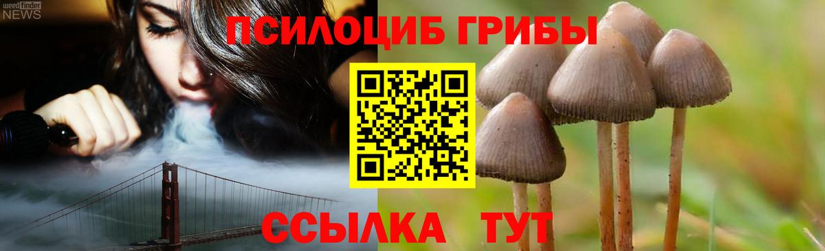 Галлюциногенные грибы Cubensis Тимашёвск